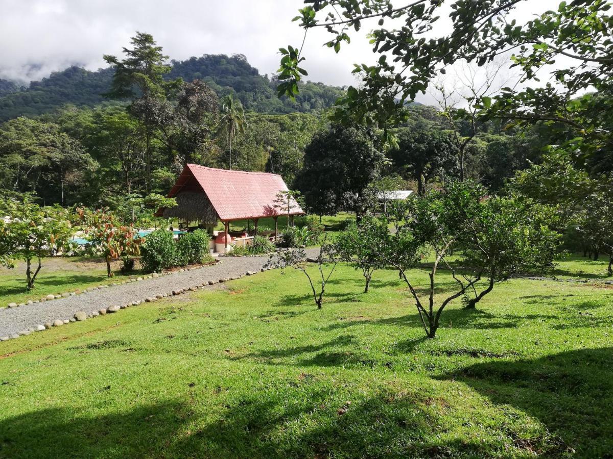 Hacienda Mil Bellezas - Private 40Ha Jungle Reserve Quepos Exteriér fotografie