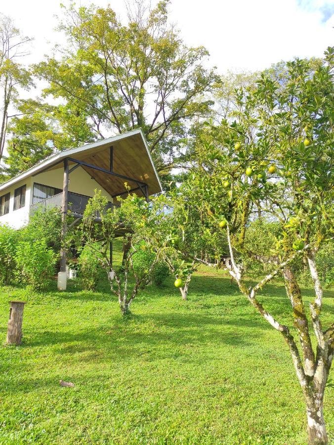 Hacienda Mil Bellezas - Private 40Ha Jungle Reserve Quepos Pokoj fotografie