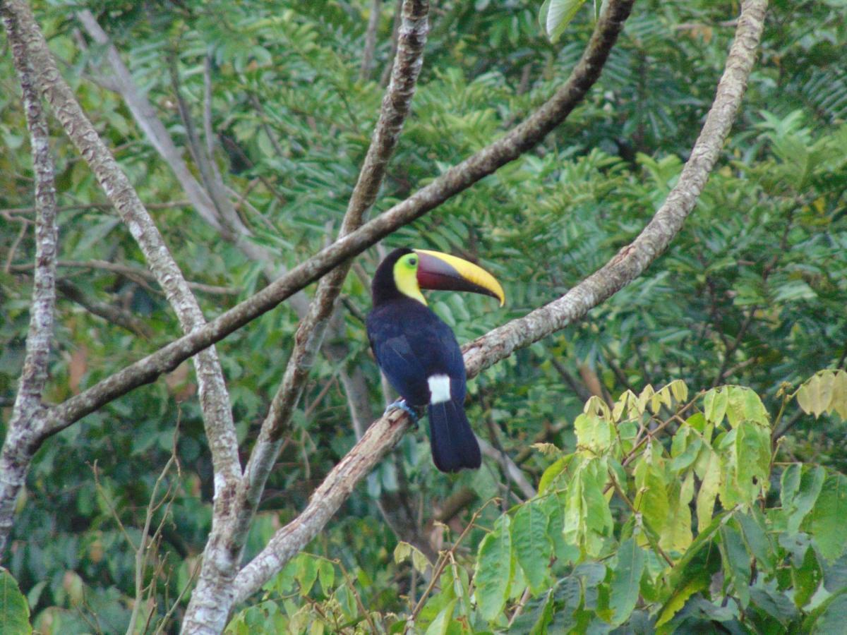 Hacienda Mil Bellezas - Private 40Ha Jungle Reserve Quepos Exteriér fotografie
