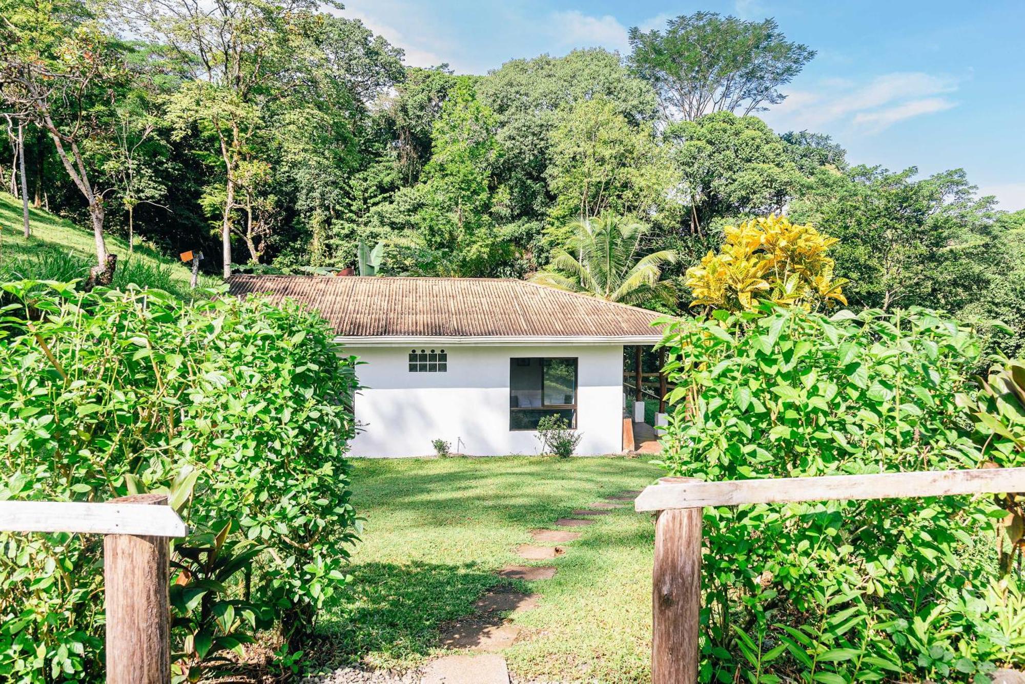 Hacienda Mil Bellezas - Private 40Ha Jungle Reserve Quepos Pokoj fotografie