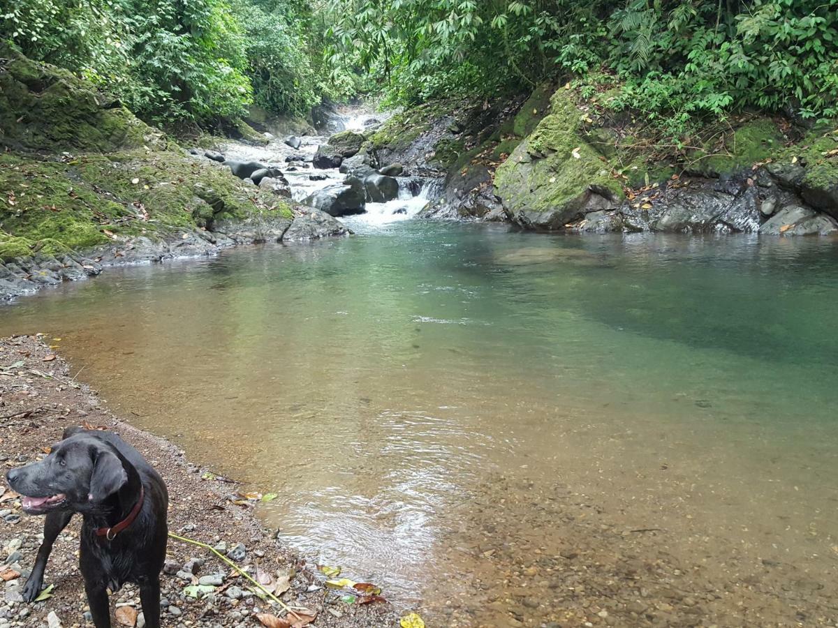 Hacienda Mil Bellezas - Private 40Ha Jungle Reserve Quepos Exteriér fotografie