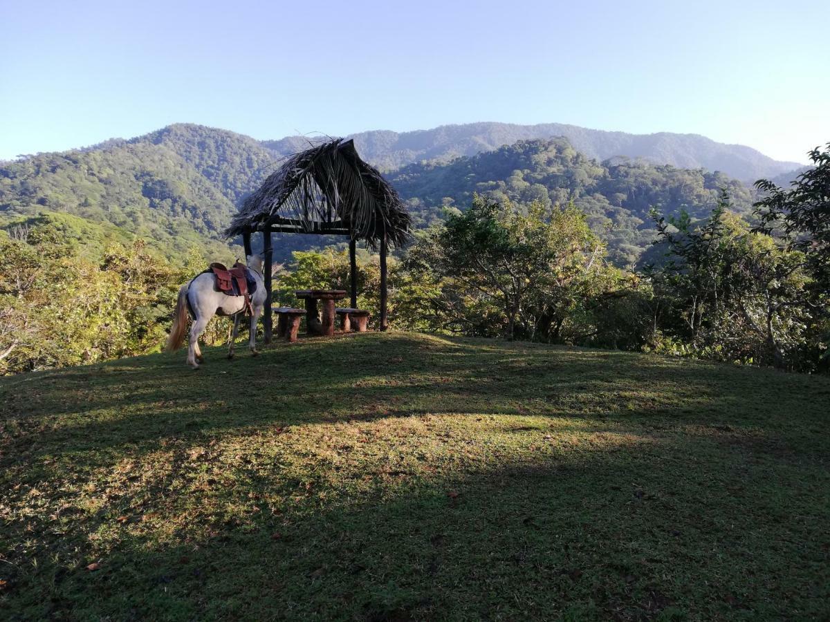 Hacienda Mil Bellezas - Private 40Ha Jungle Reserve Quepos Exteriér fotografie