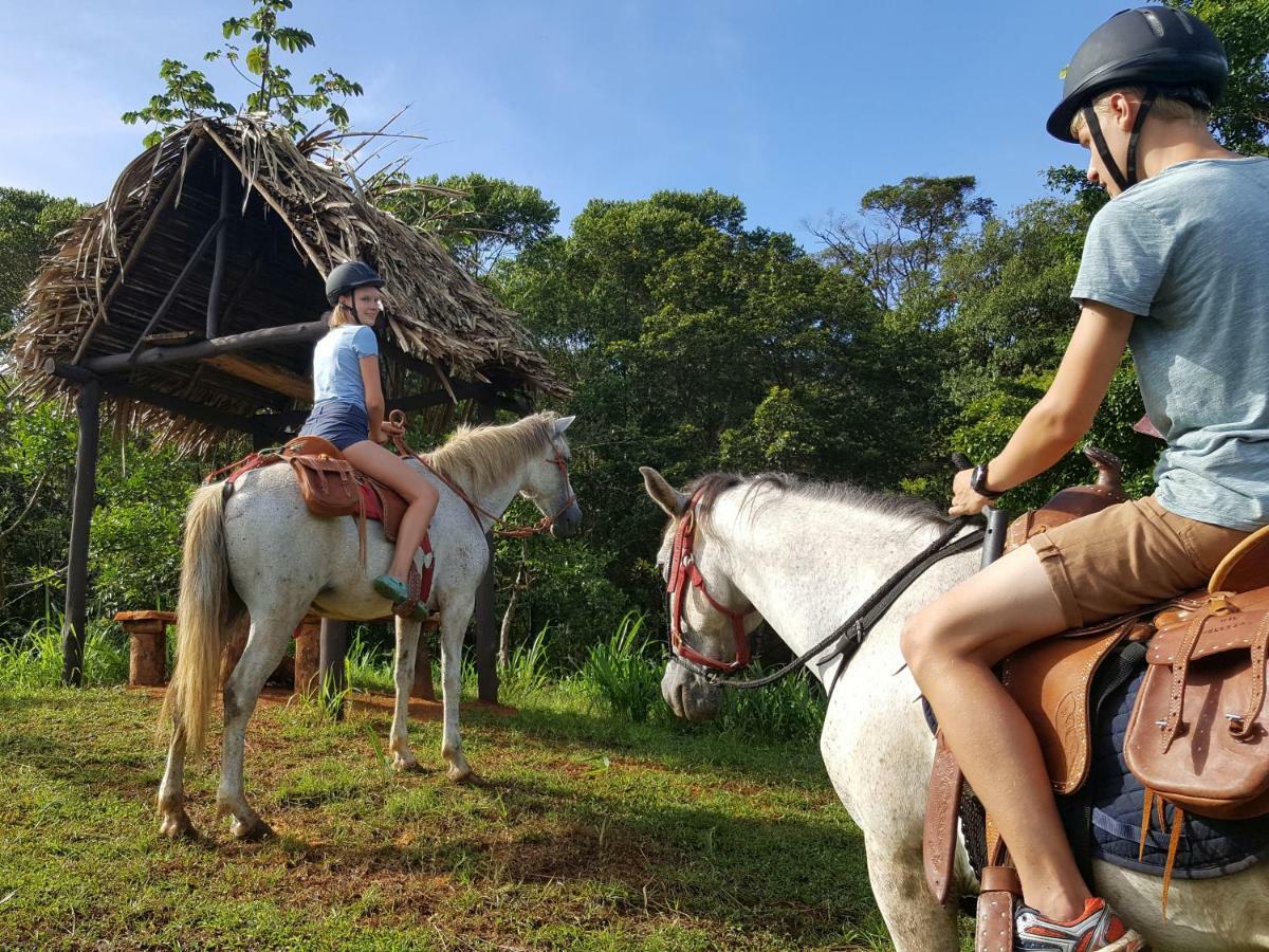 Hacienda Mil Bellezas - Private 40Ha Jungle Reserve Quepos Exteriér fotografie